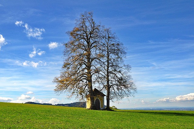 Derrick Mayweather tweet media