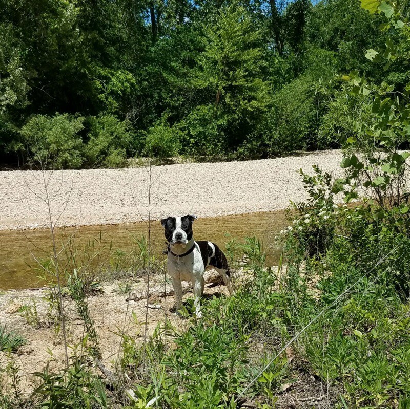 DCSC Inc. tweet media