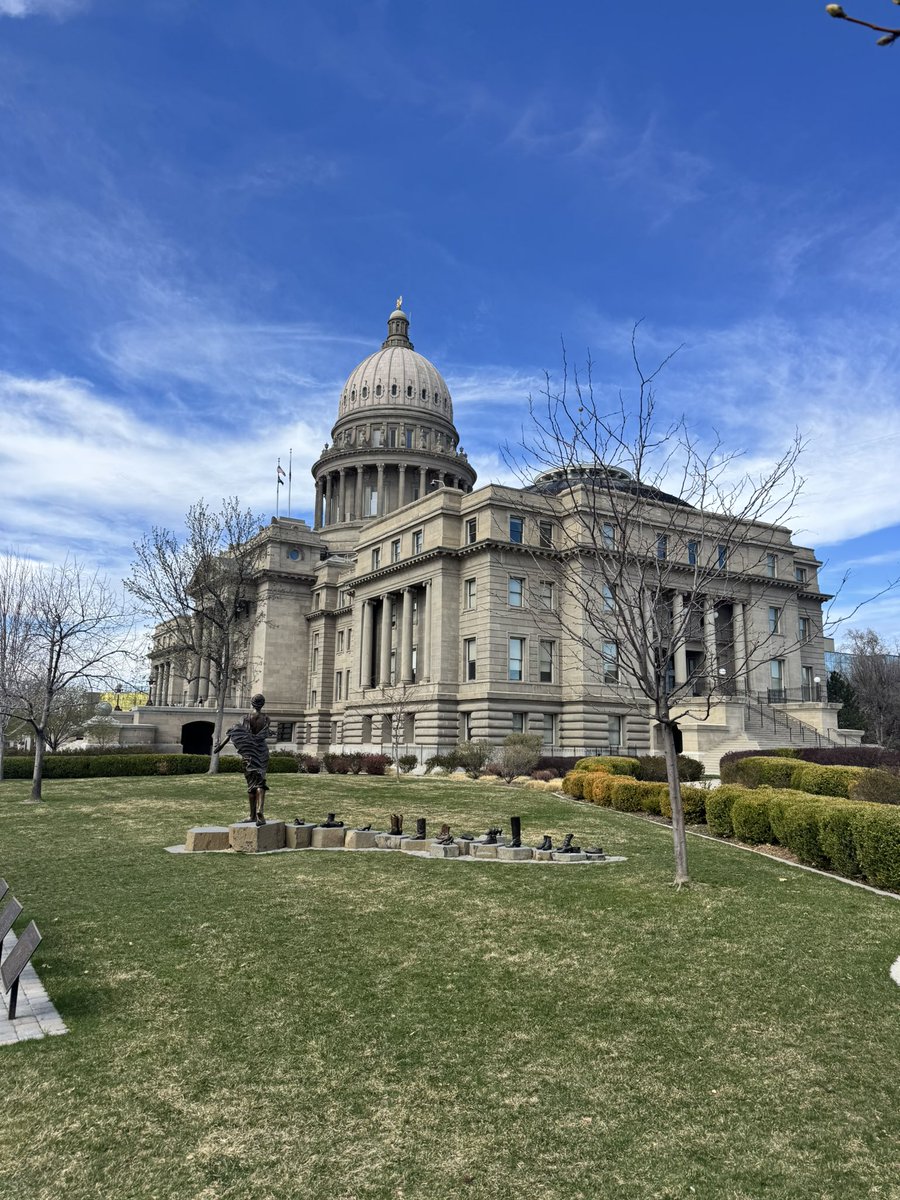 March Steve-ness tweet media