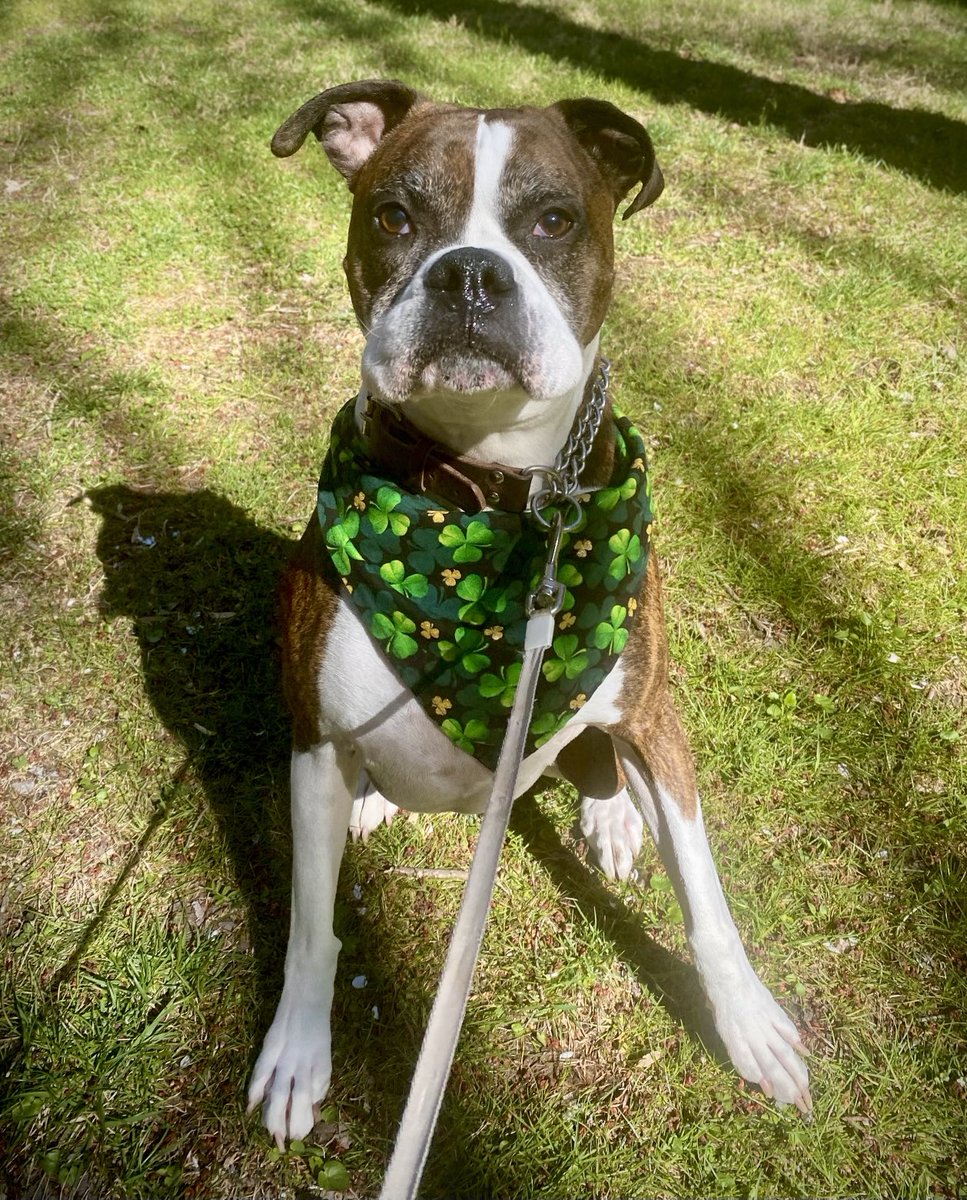 Jennifer Allen tweet media