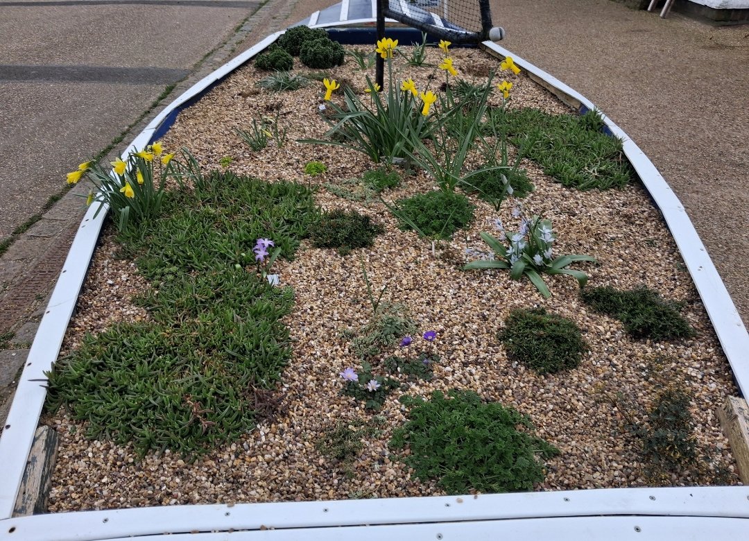 East Suffolk One Radio tweet media