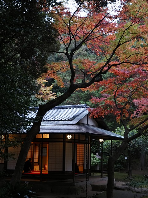 Jackie Turner tweet media