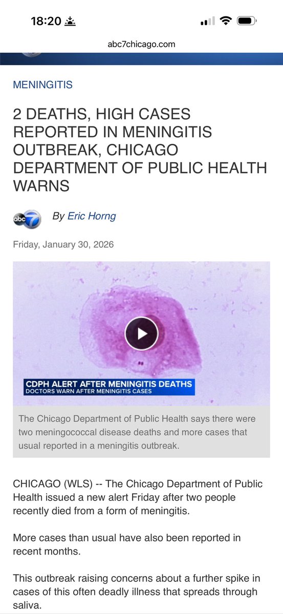 Mrs Unleashed 🦋🐶🦭🦔🦡 tweet media