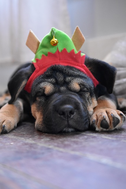 Jennifer Crawford tweet media