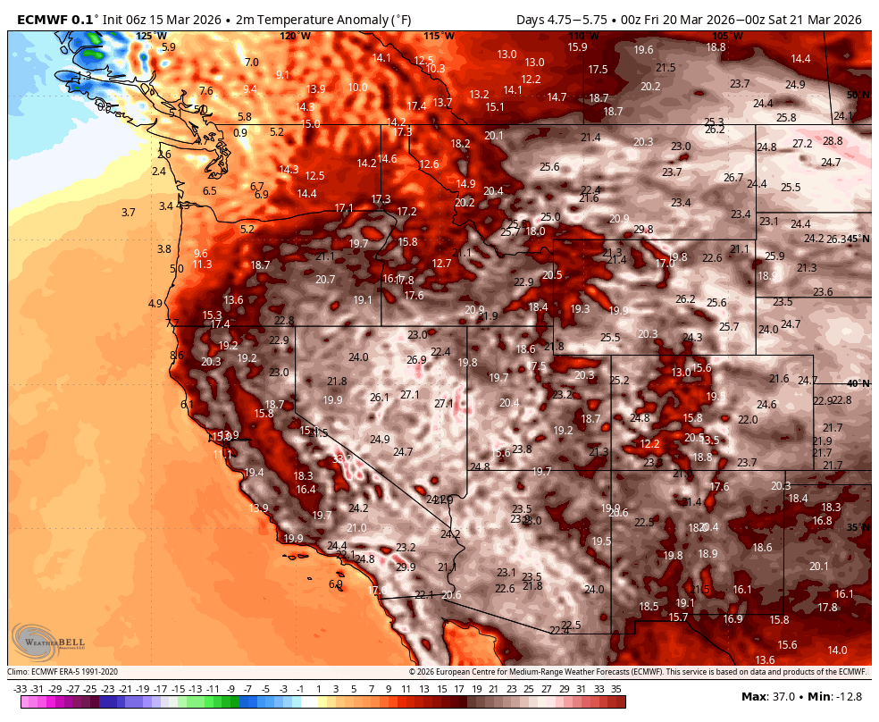 Dave Amirault tweet media