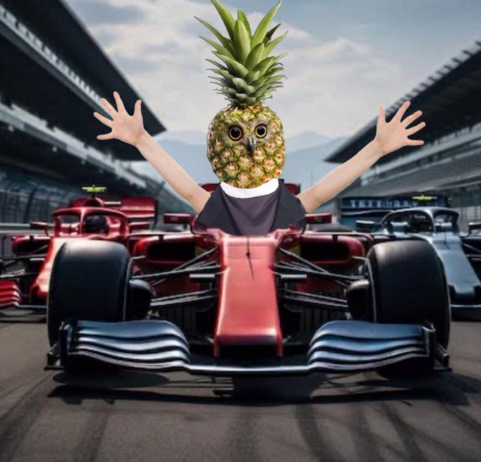 PINEOWL 🍍🦉 tweet media