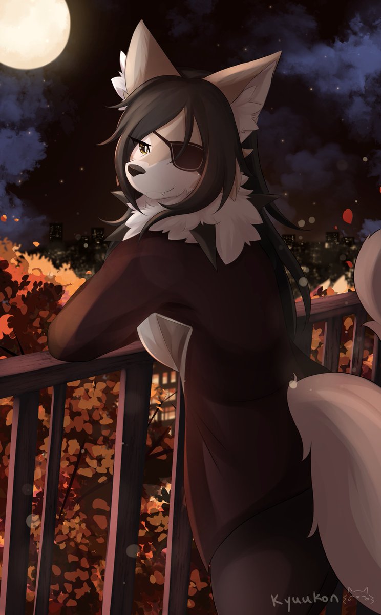kyuu tweet media