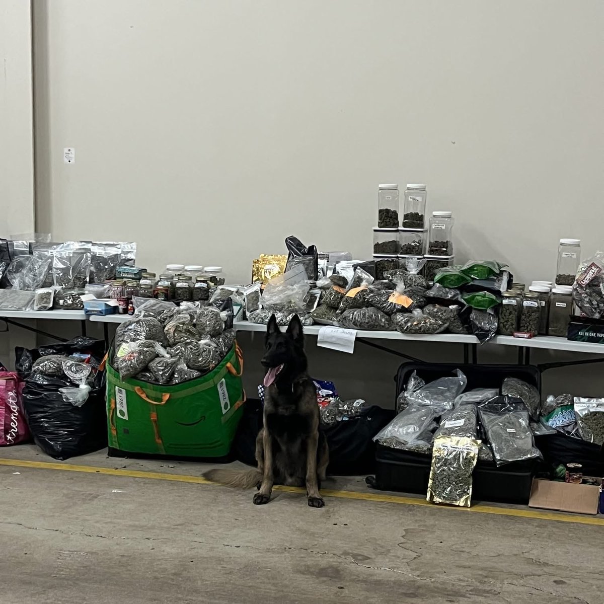 PhillyCrimeUpdate tweet media