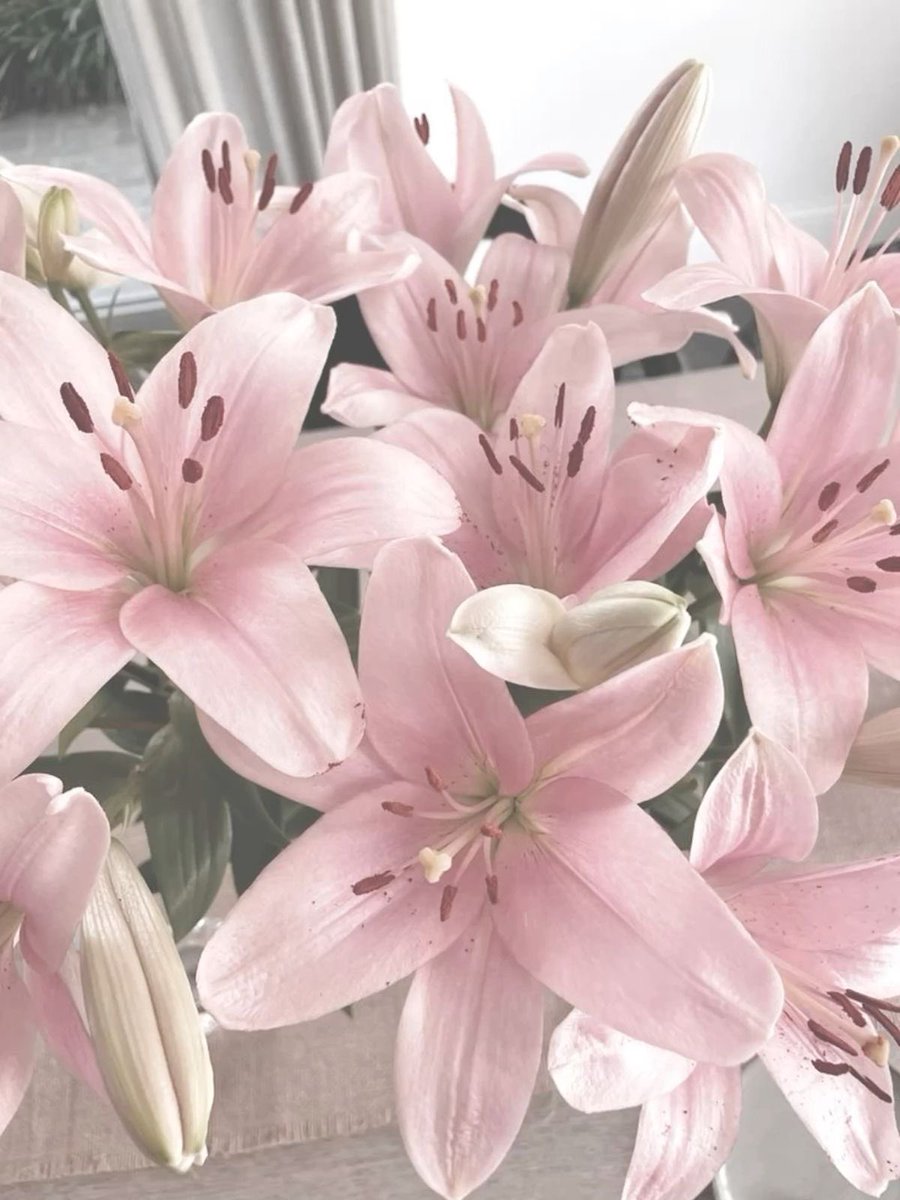 lia | studytwt tweet media