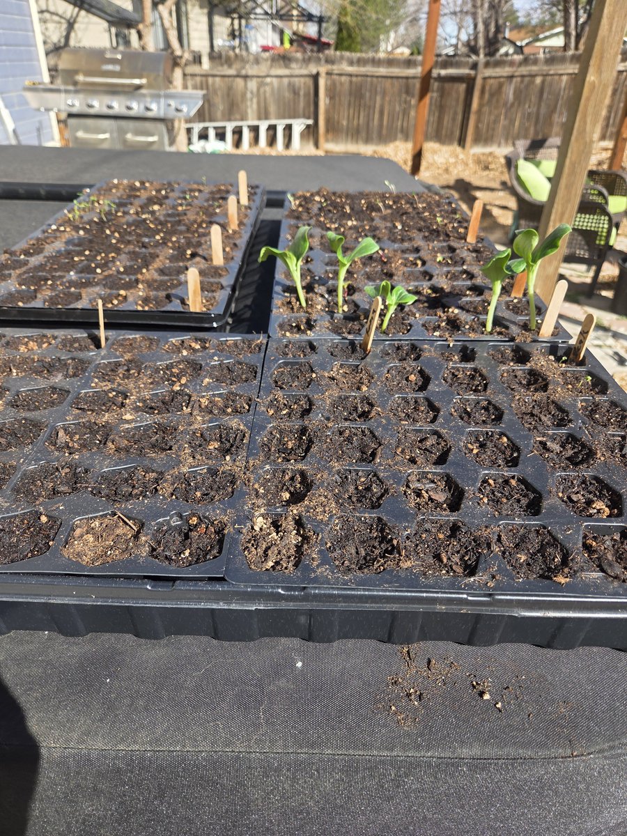 Mike Dickerson tweet media