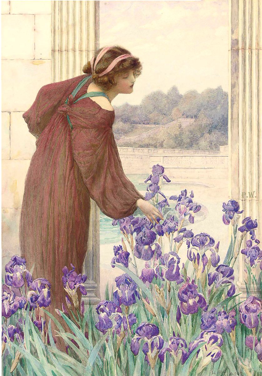 webcat ⚪🔬 tweet media