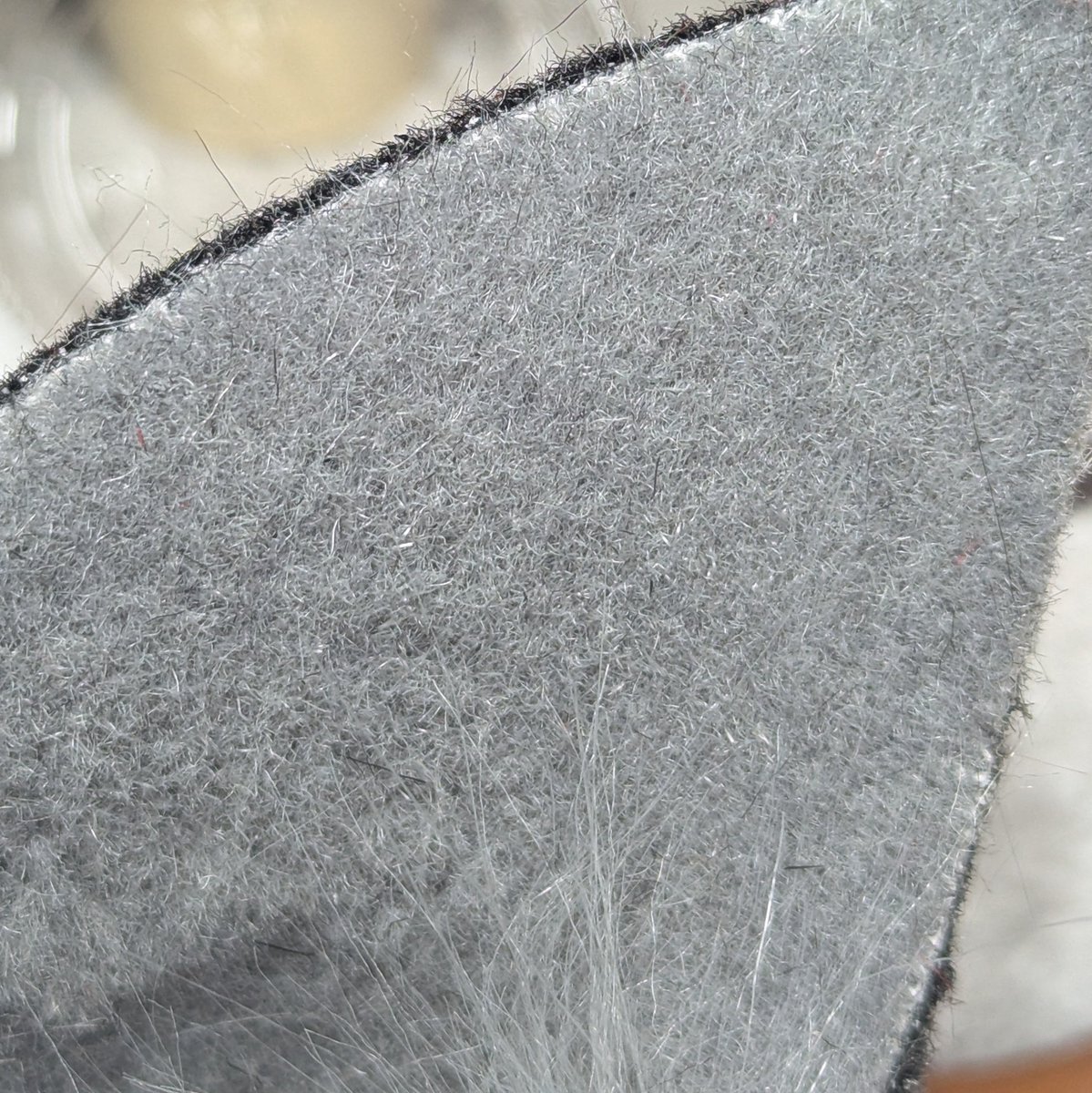 AnthroAesthetic 🔜TFF🔜 AC🔜Denfur? tweet media