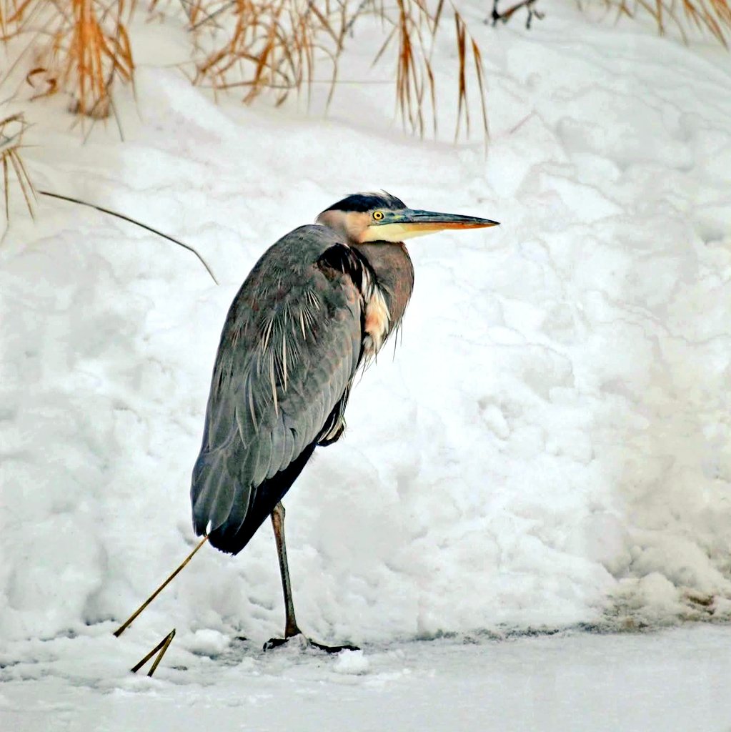 julie 💭 tweet media