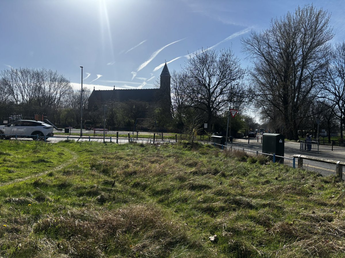 Thomas F. Robinson tweet media