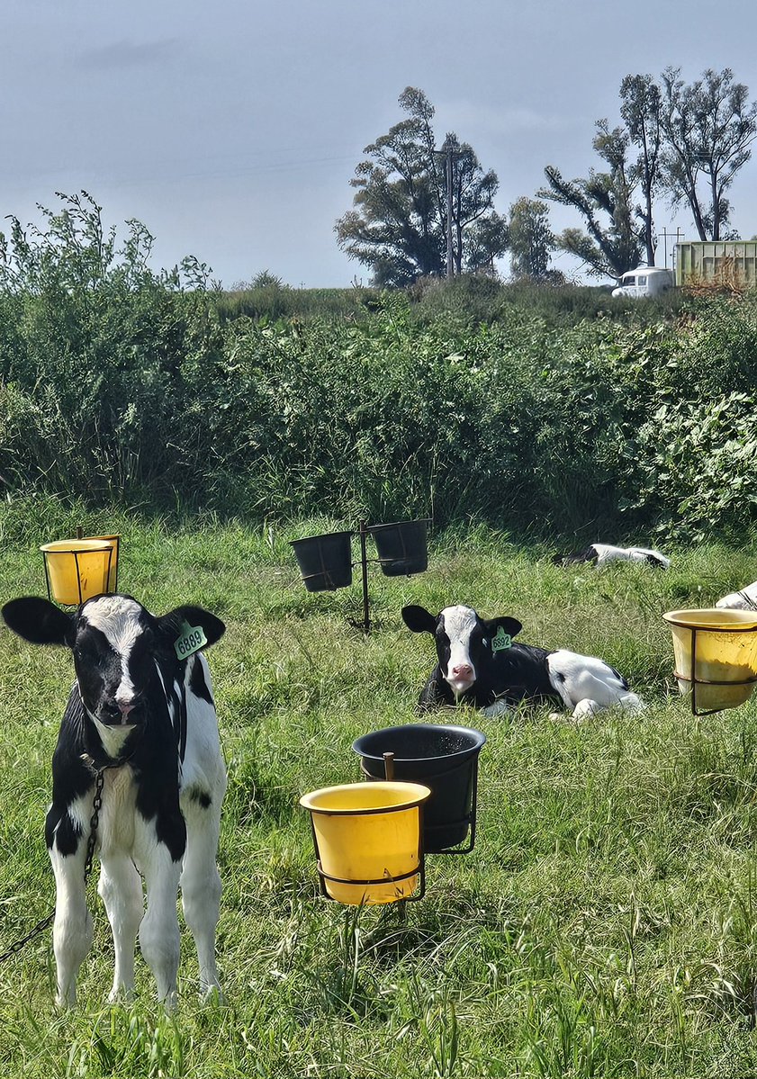 Andrea Passerini tweet media