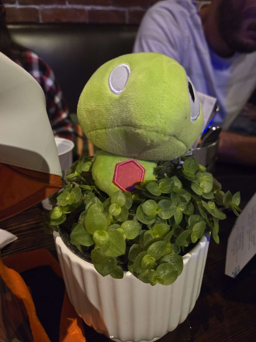 Zygarden | Pokémon GO Tournaments tweet media