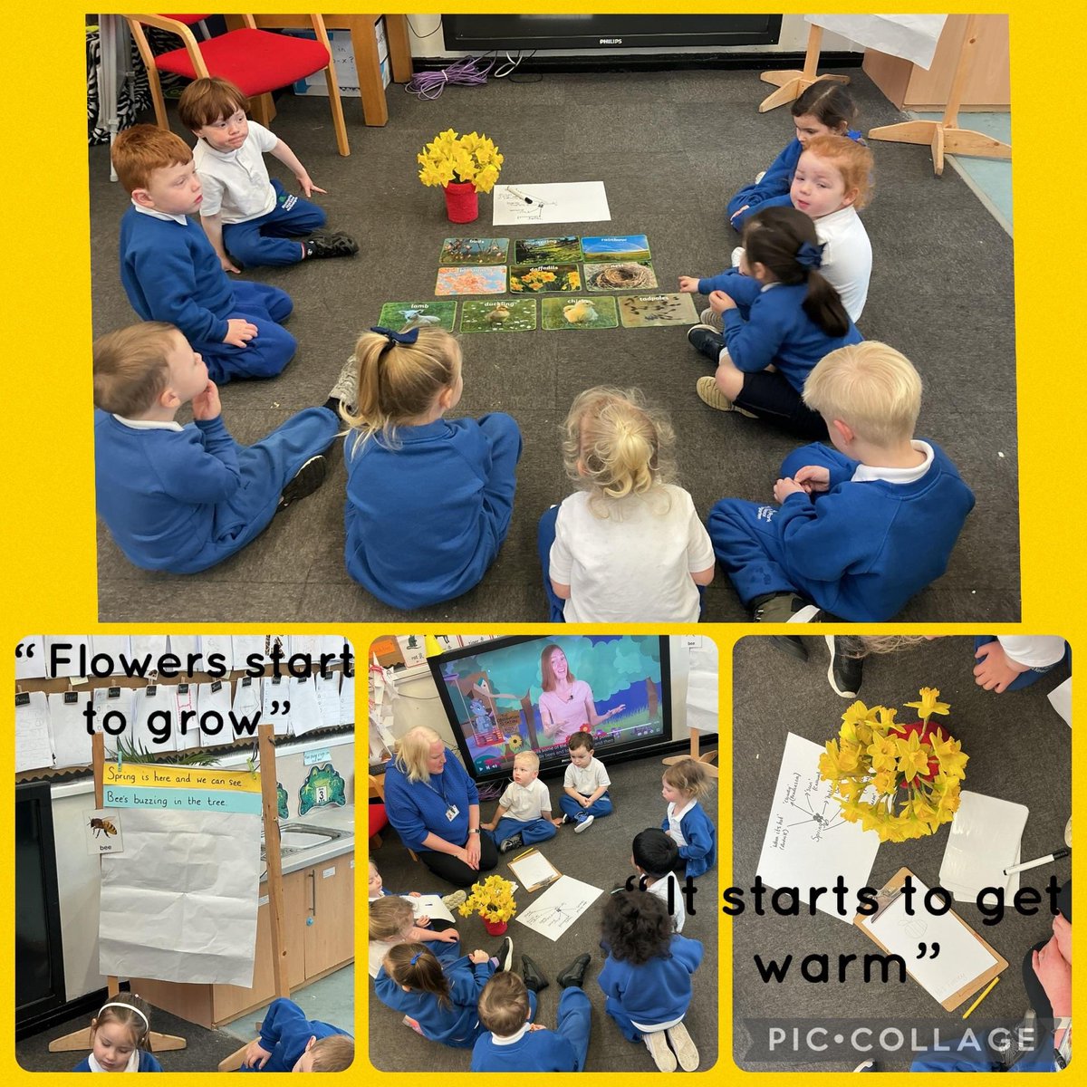 bpinfant's tweet photo. Nursery have been exploring Spring and Bees 🐝 the children have been buzzing with excitement 😄! #BPIEarlyYears #BPIScience https://t.co/B3OQtkUw8a