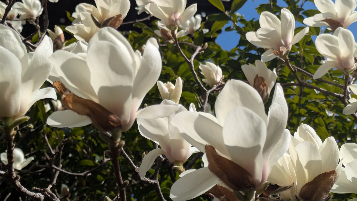 おはようございます☀️
ベネズエラに勝ったら今日休む予定だった同僚が仕事に出るので(笑)
代わりに私が休もうと思ったけど
忙しいから止めました🤪

今日も頑張ります(笑)(笑)
良い1日を🍀✨✨
