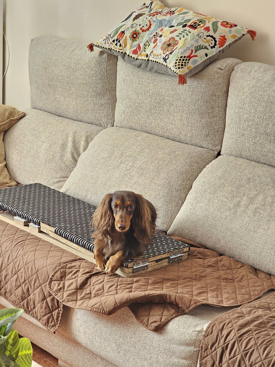 AroaKeyna | 💙 Fluffy Queen 💙 tweet media