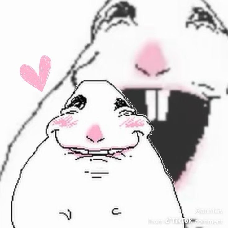 danu 👨🍳 tweet media