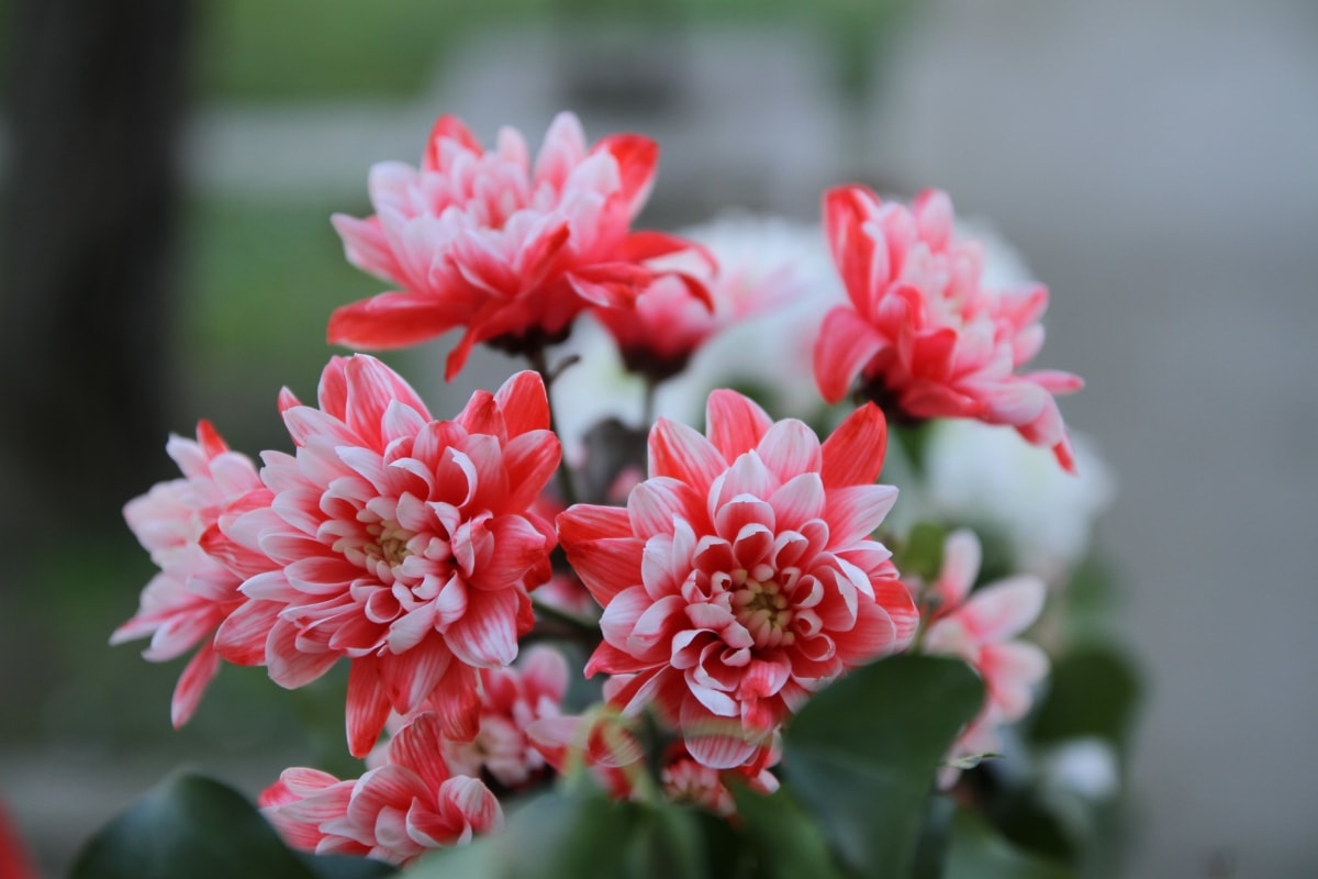 モーニングコールセンター tweet media