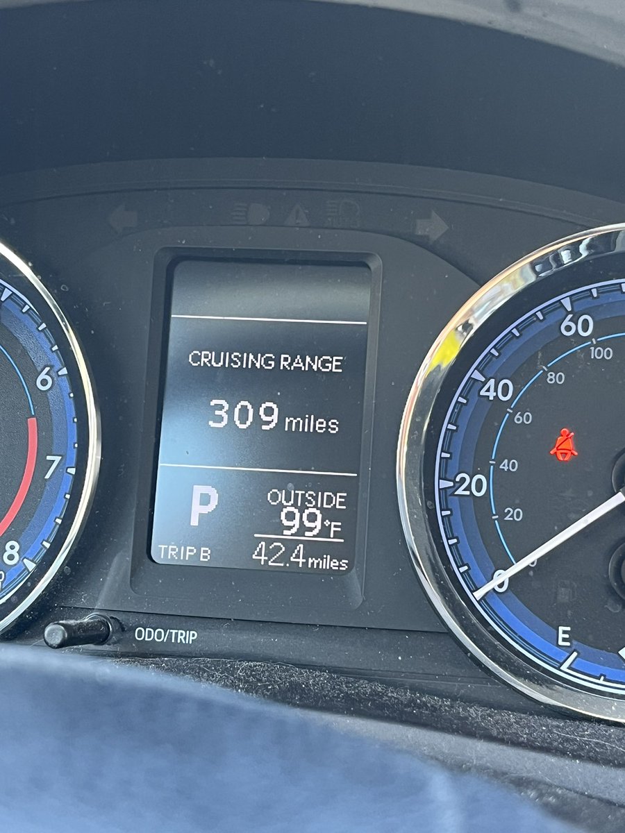 Princess Rosca 👑🐶 tweet media