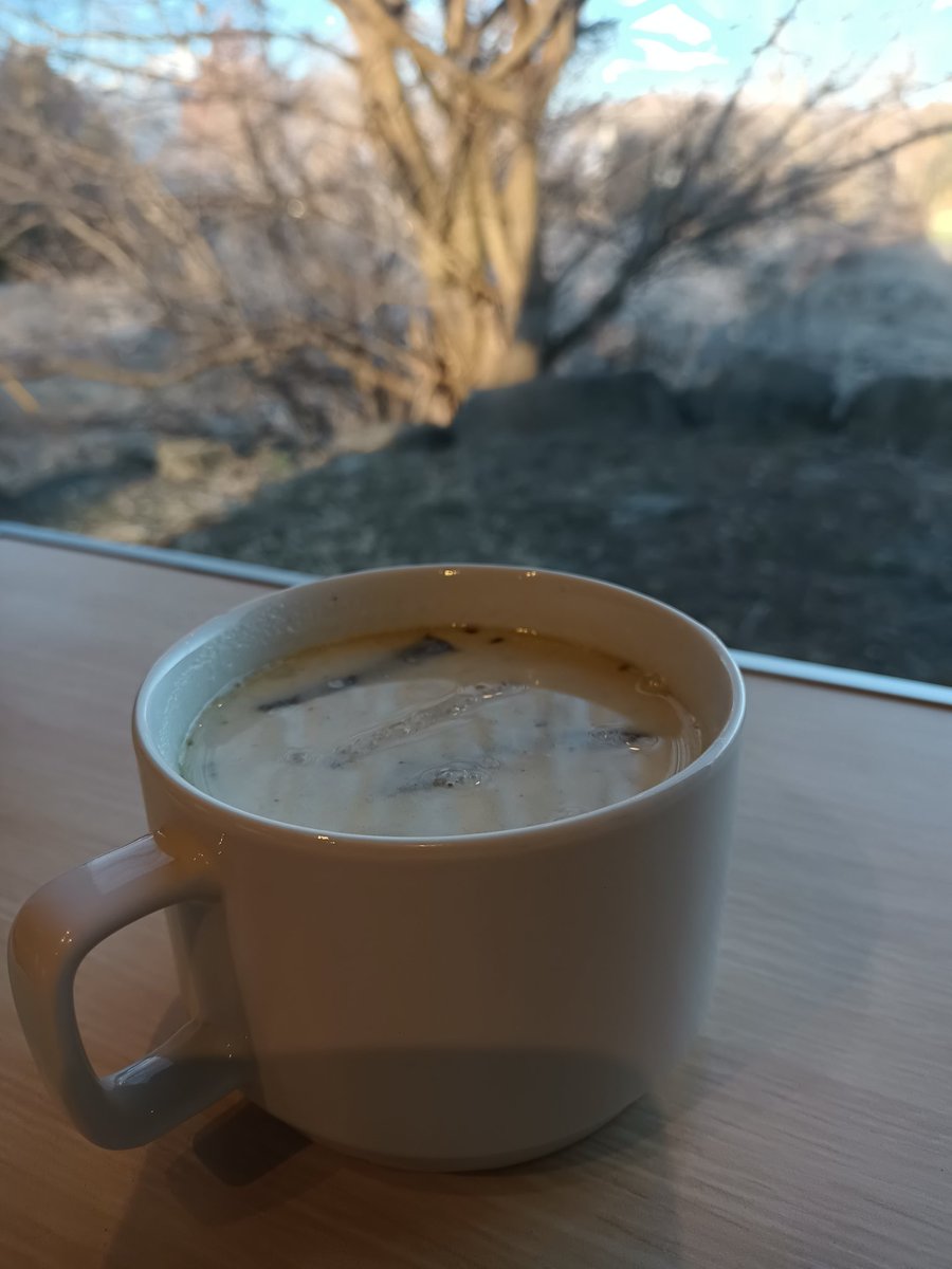 毎日仕事とプライベートでバタバタしていて、気づいたら半月くらい放置していた。
休日に八ヶ岳の見える別宅へ。
焼き付けた牛蒡と鯖の燻製に、ブロッコリーのポタージュを合わせて朝のスープ。