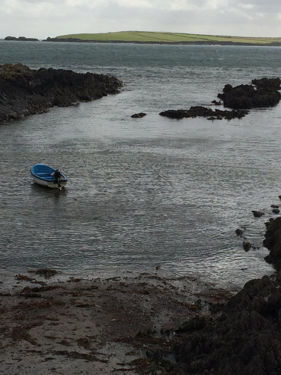 Matt Doherty tweet media