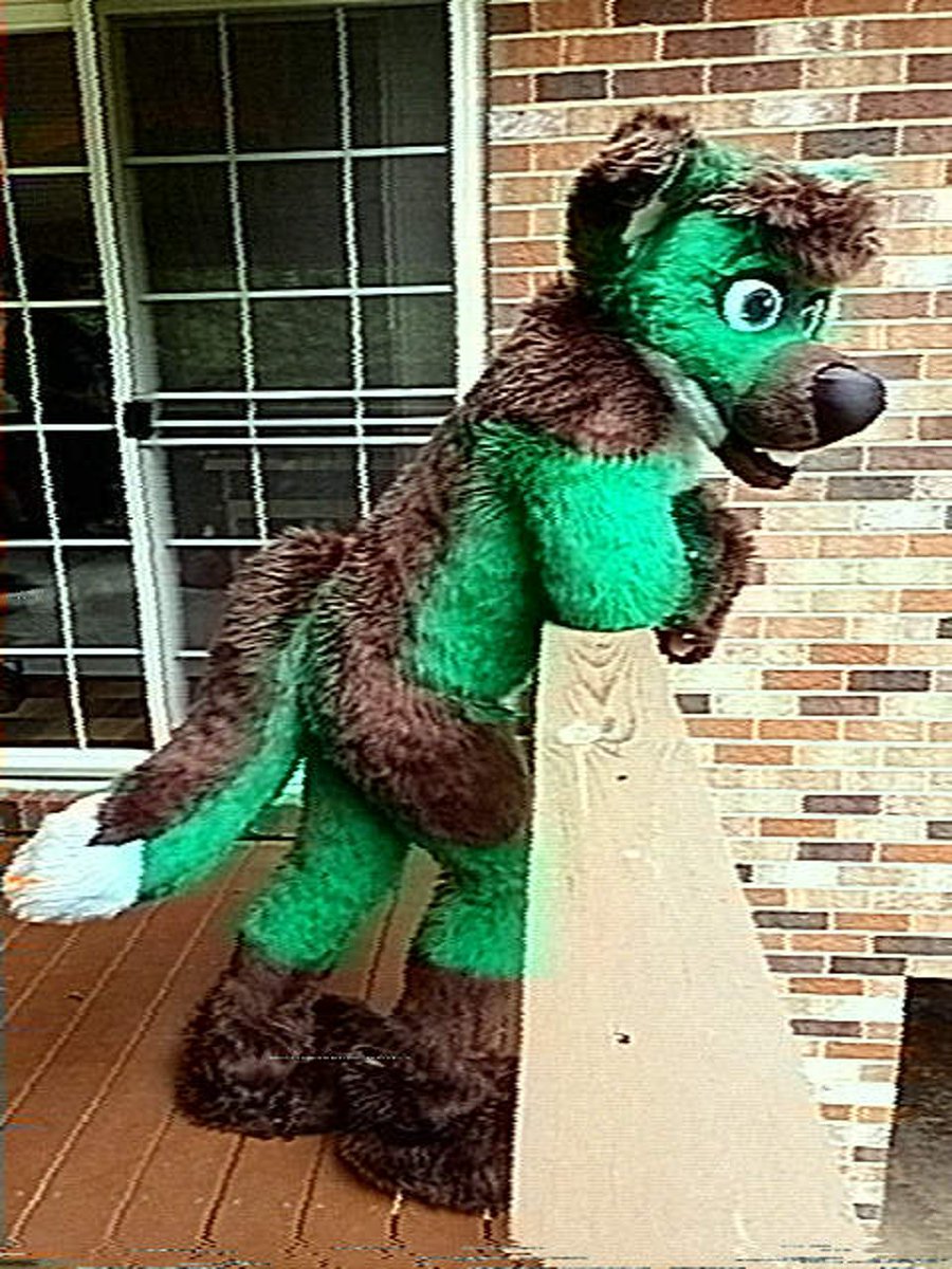 Beiny🐾 tweet media