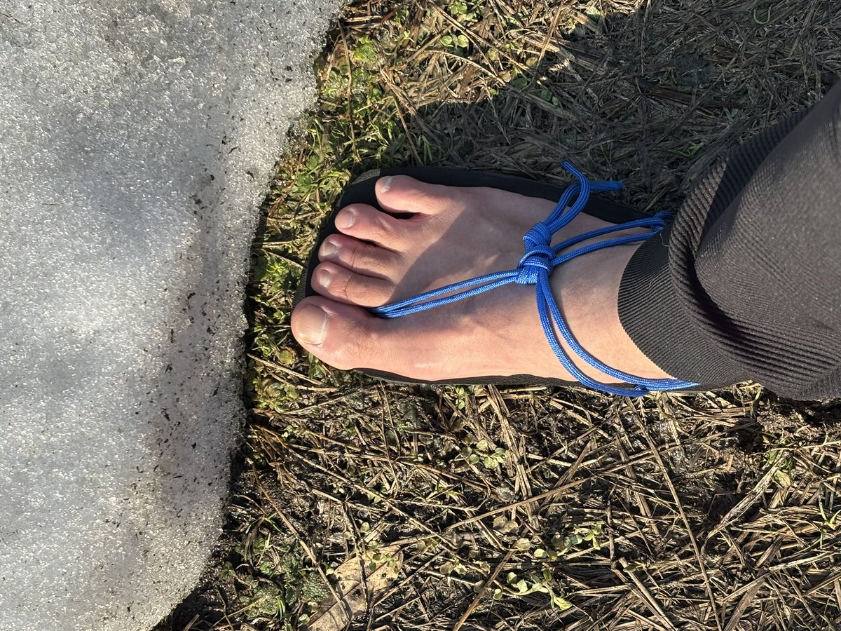 トミー tweet media