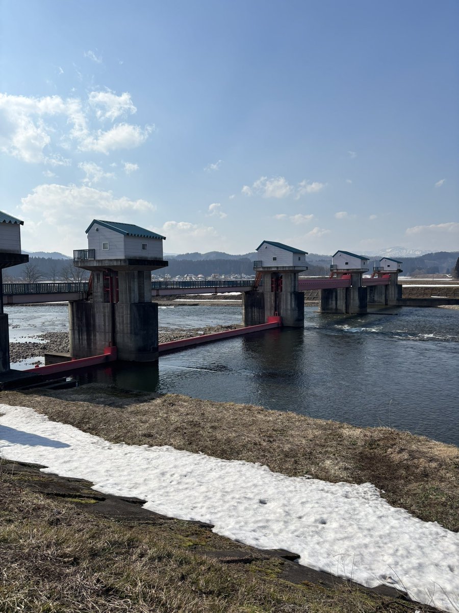 トミー tweet media