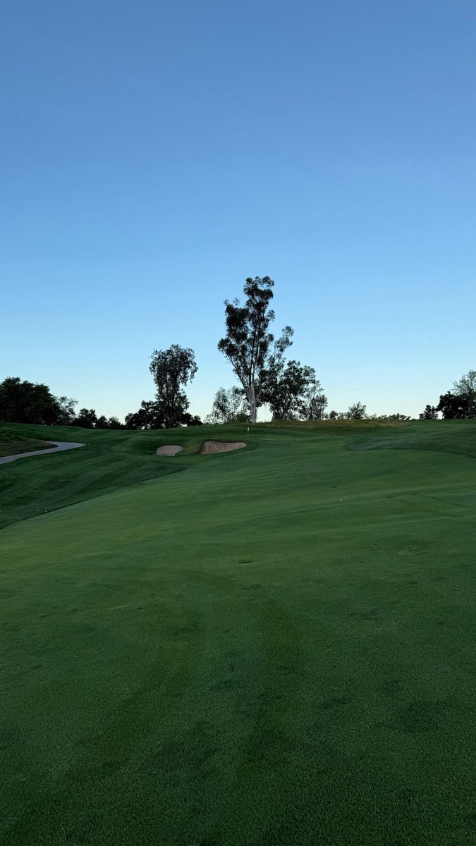 Trey Buchanan tweet media