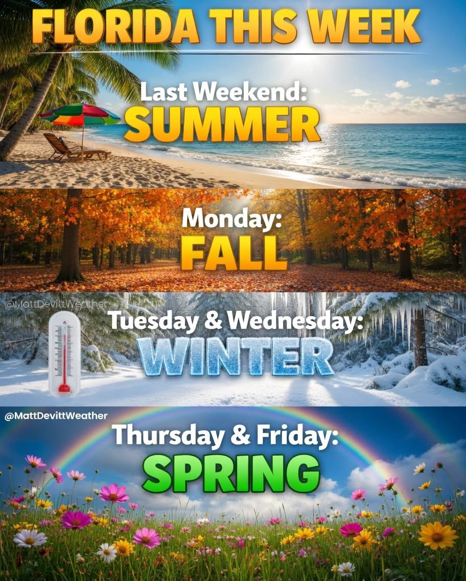 Matt Devitt tweet media