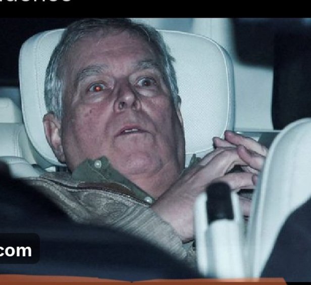 Arts Bizz tweet media