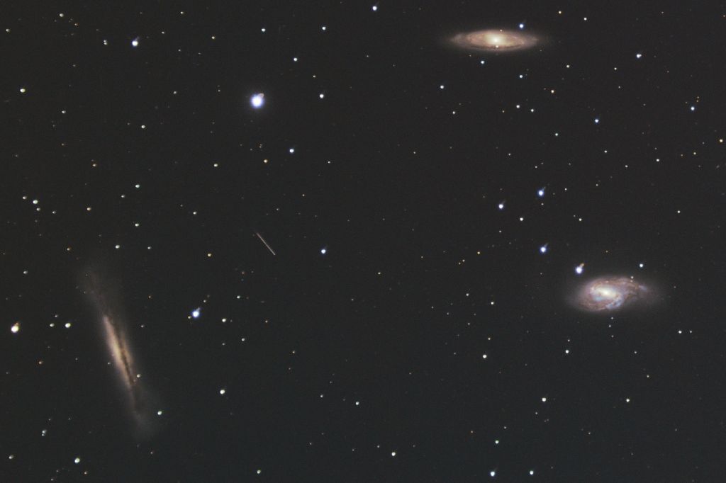 EricTheCat 🇺🇸 tweet media