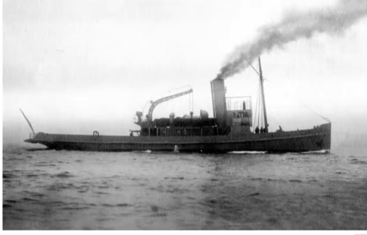 Can Erenoğlu tweet media