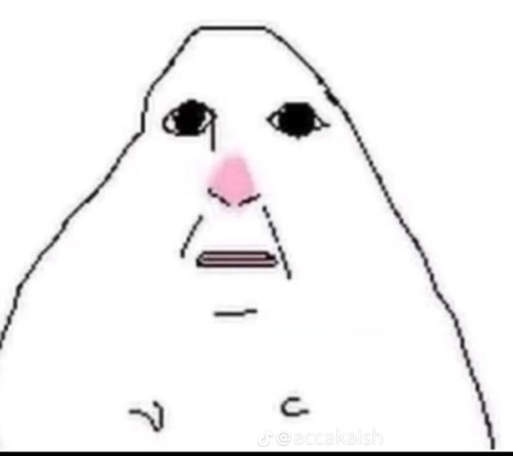 danu 👨🍳 tweet media