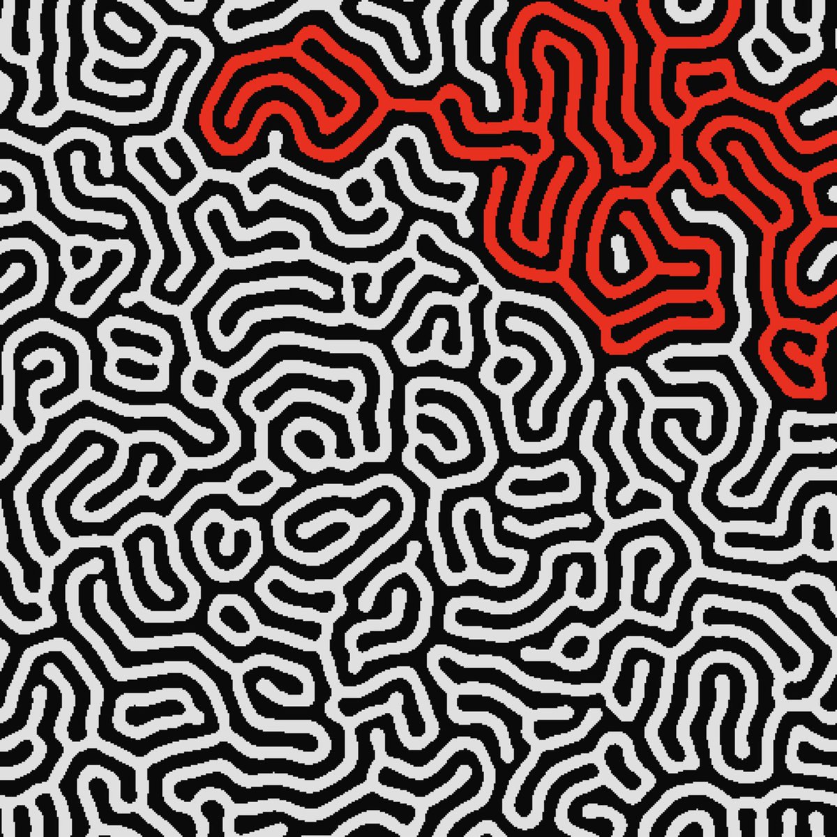 ᴅᴜᴄᴋᴢᴢʏ tweet media