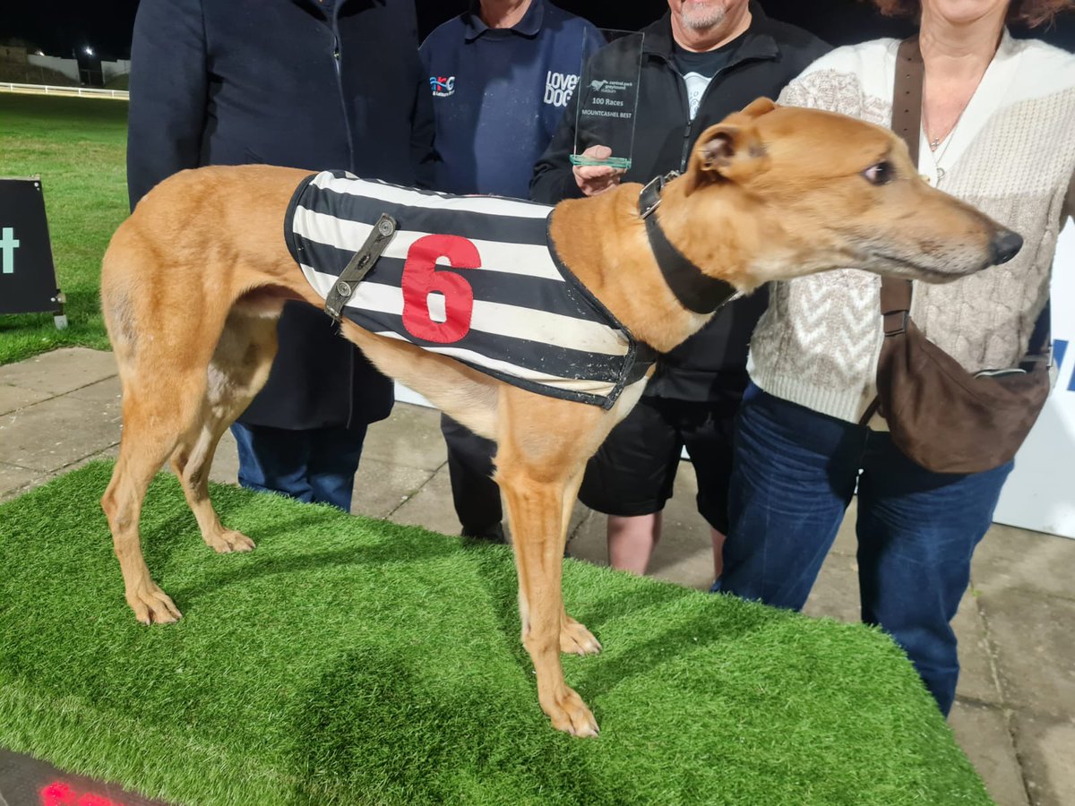 Central Park Stadium tweet media