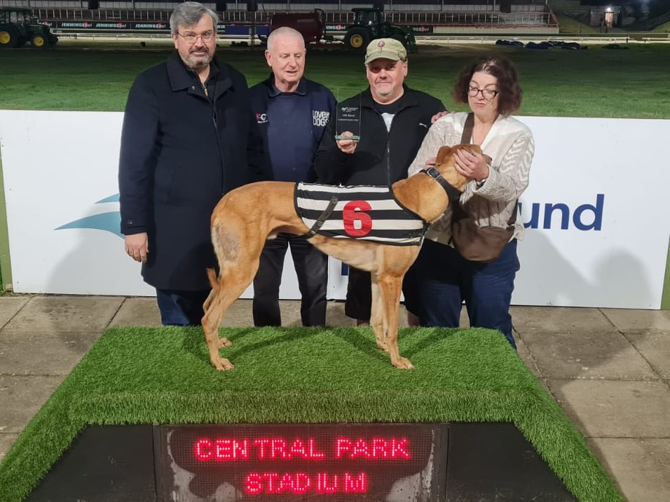 Central Park Stadium tweet media