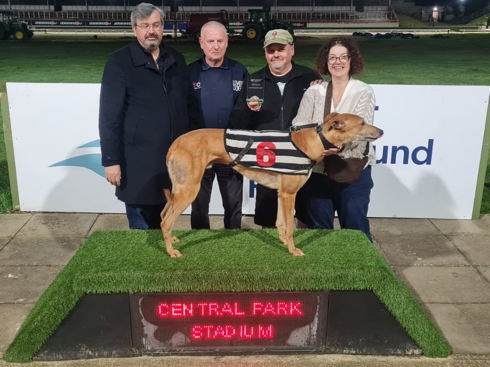 Central Park Stadium tweet media