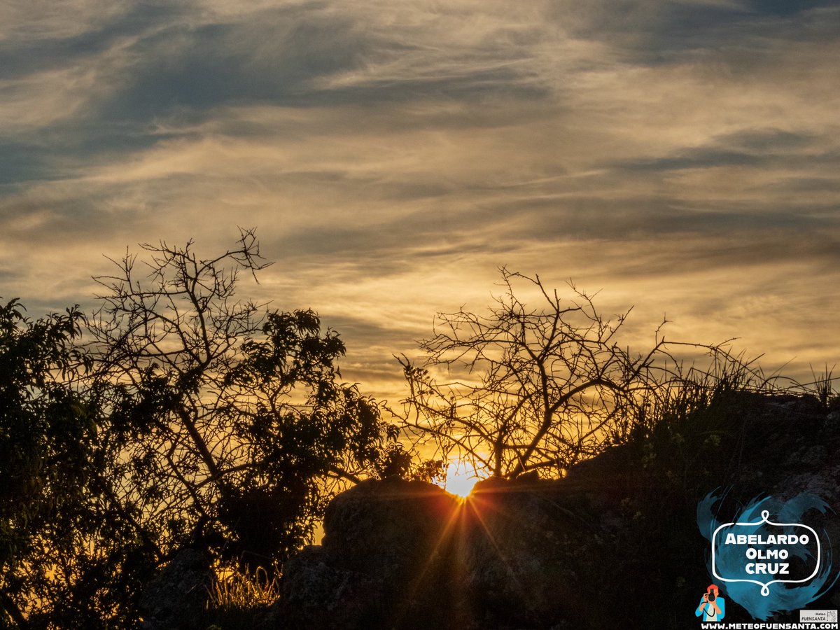 ABELARDO OLMO tweet media