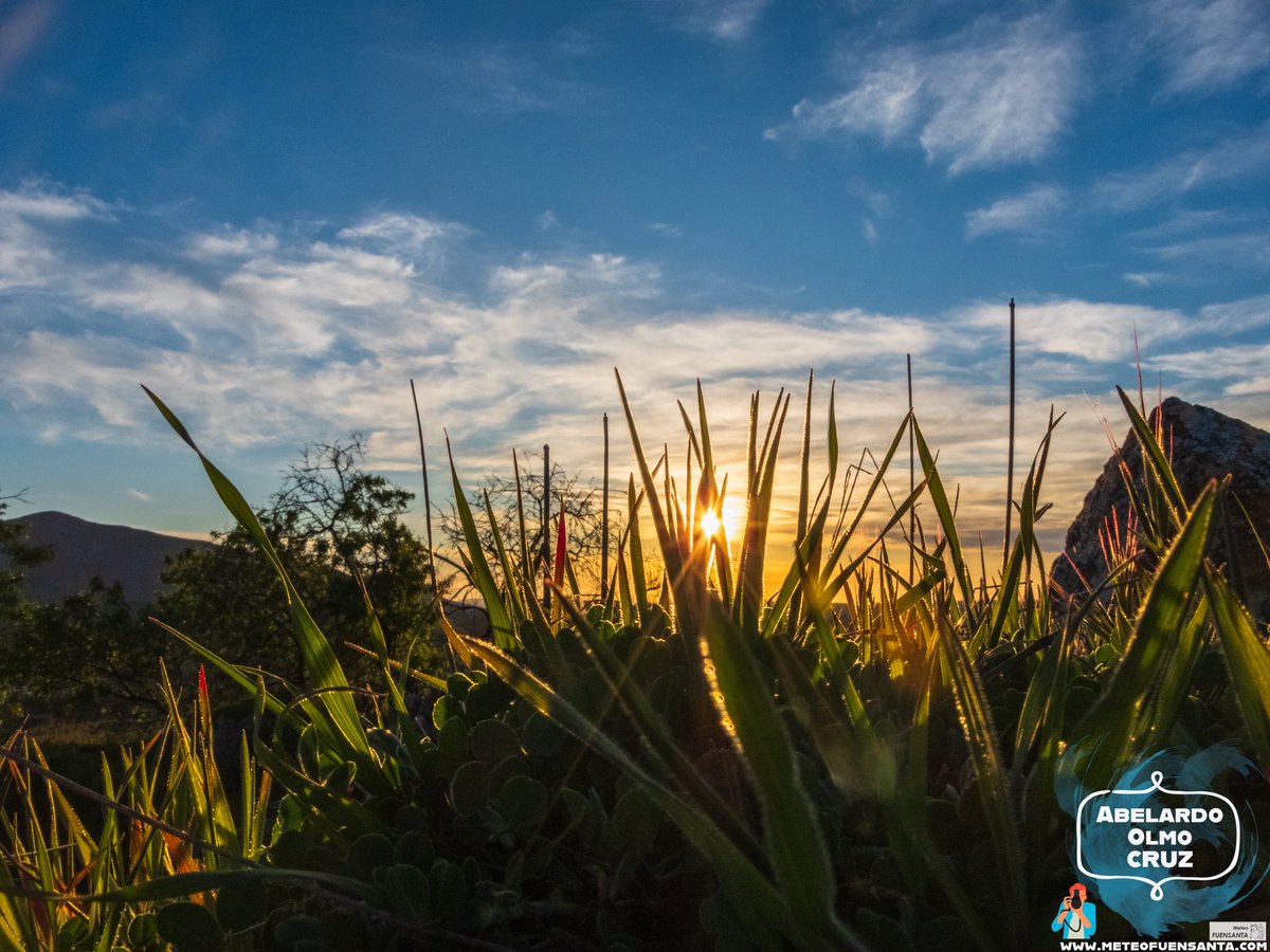 ABELARDO OLMO tweet media