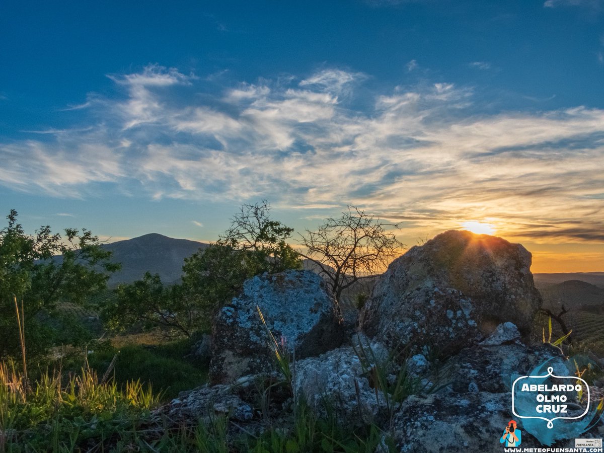 ABELARDO OLMO tweet media