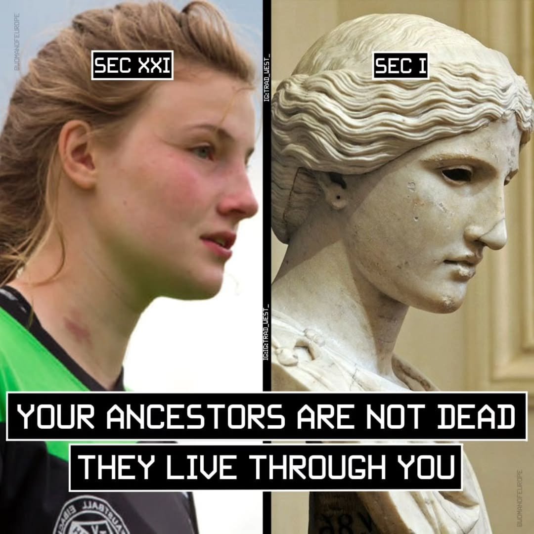 ₿en Wehrman tweet media