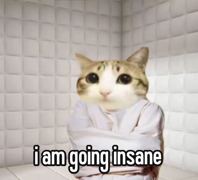 ִֶָ𓂃 ࣪˖ ִֶָ🐇་༘࿐ tweet media