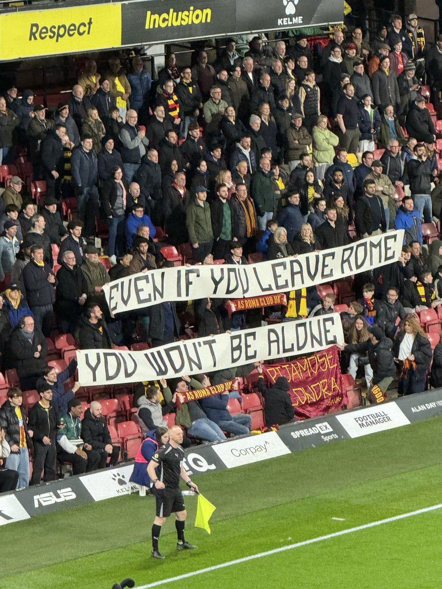 Cameron 🐝 tweet media