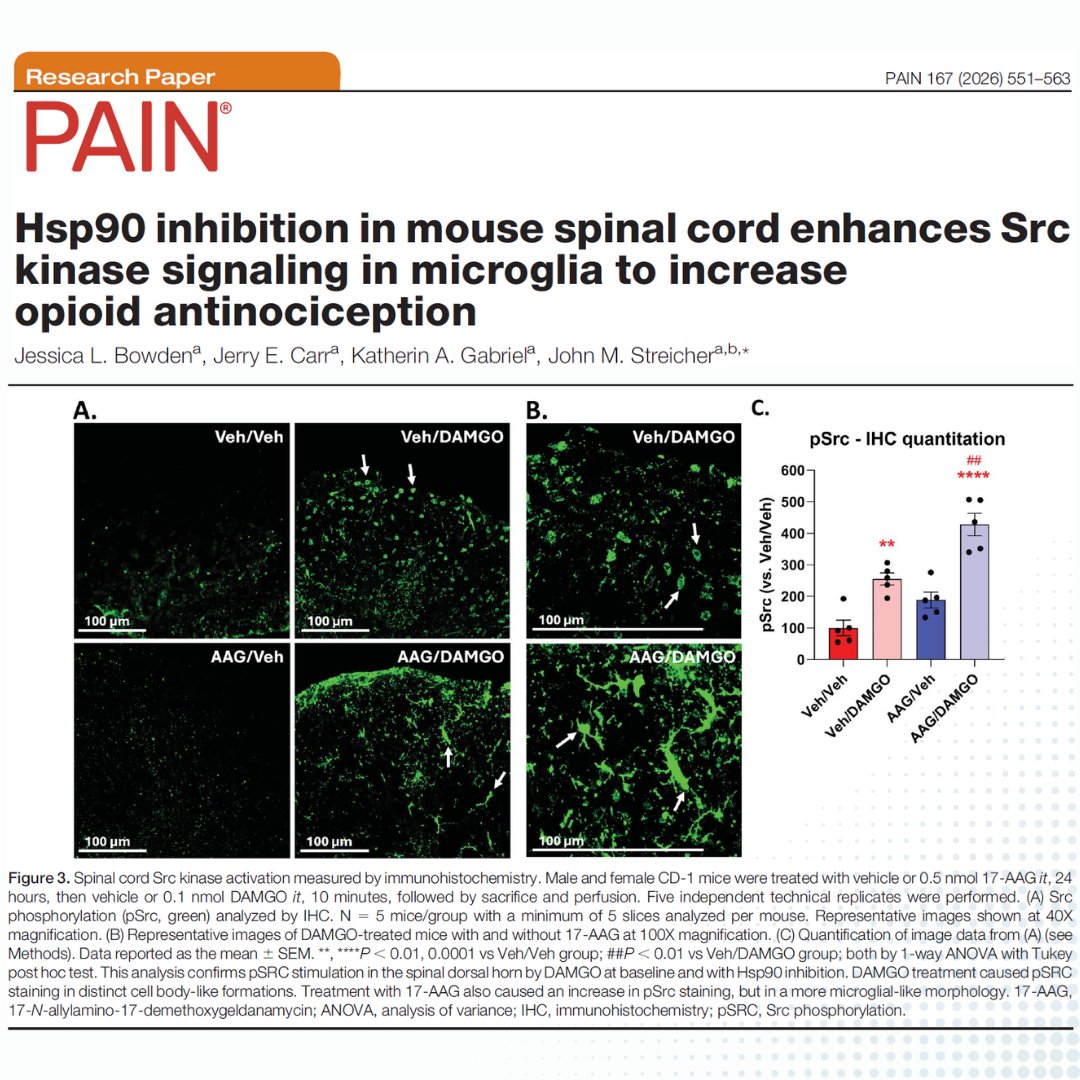 PAIN Journal tweet media