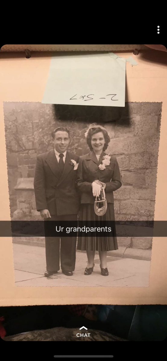 👑🐝 tweet media