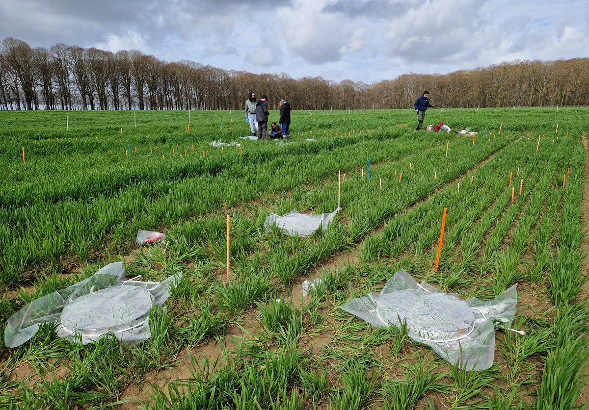 Frédéric Suffert tweet media